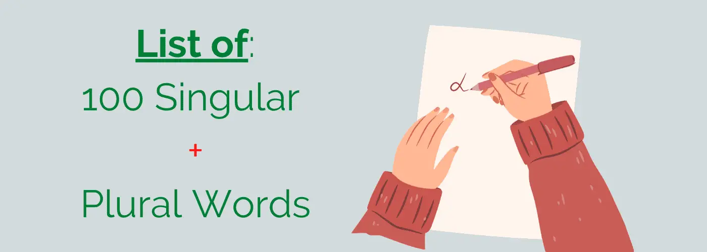 100 Singular And Plural Words In English Infographic 