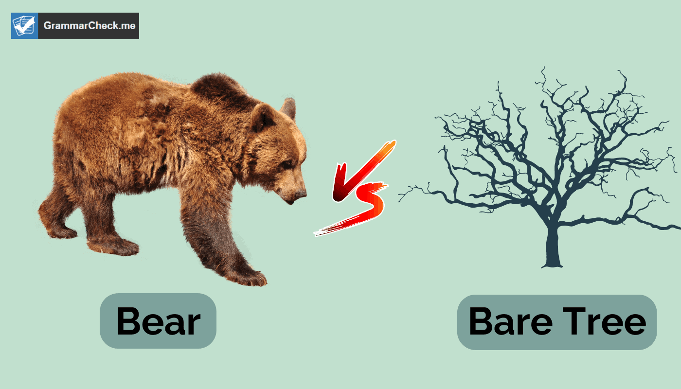 Bear With Me or Bare With Me: Which is the Correct Spelling?